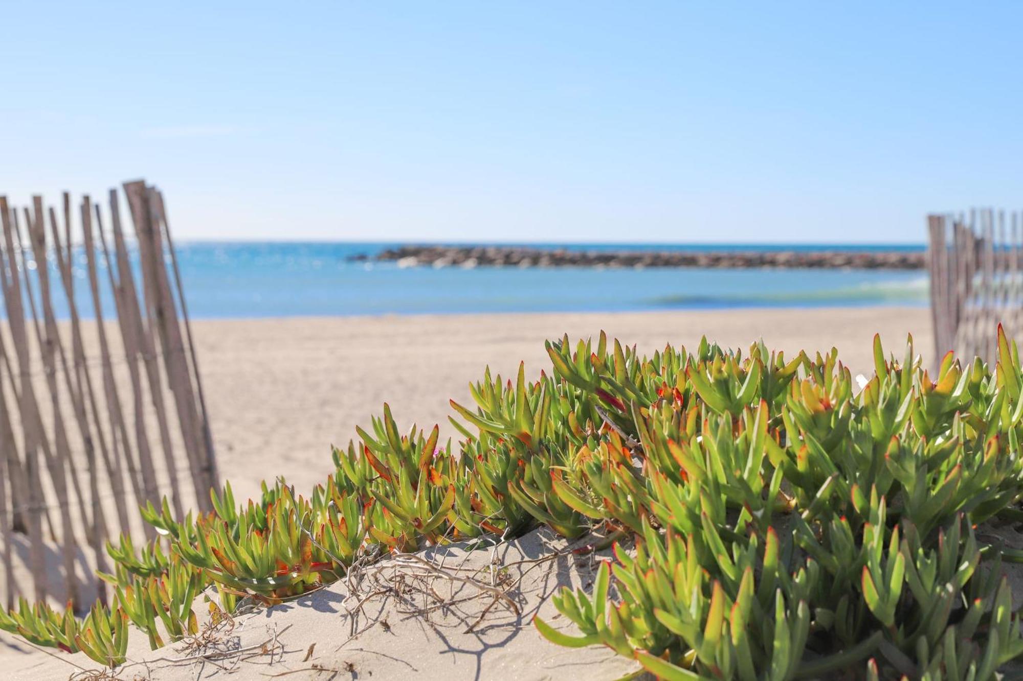 T2 Boheme Centre Ville Palavas Proche Plage Dış mekan fotoğraf